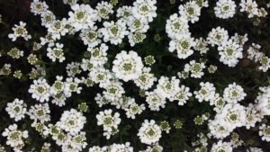 20160405_151224