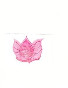 Kamalakshmi