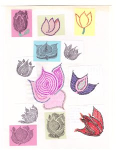 Assorted Lotus