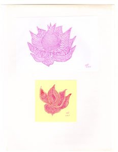 Sacred Lotus