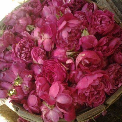 Scented roses ready for offering at morning worship service. Image courtesy