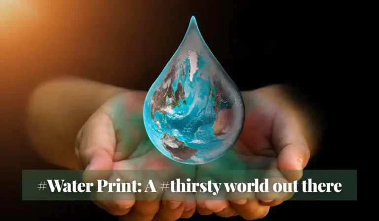 Read more about the article #Water Print: A #thirsty world out there