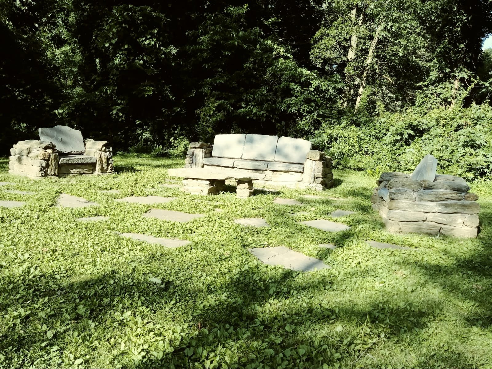 Read more about the article Healing Forests