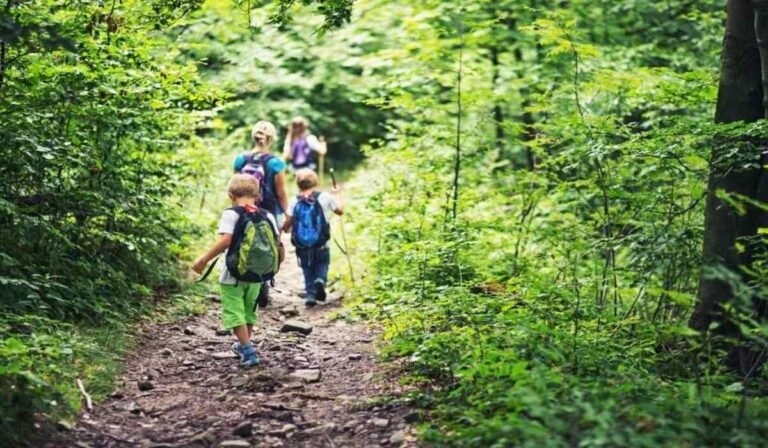 Read more about the article Wilderness Therapy