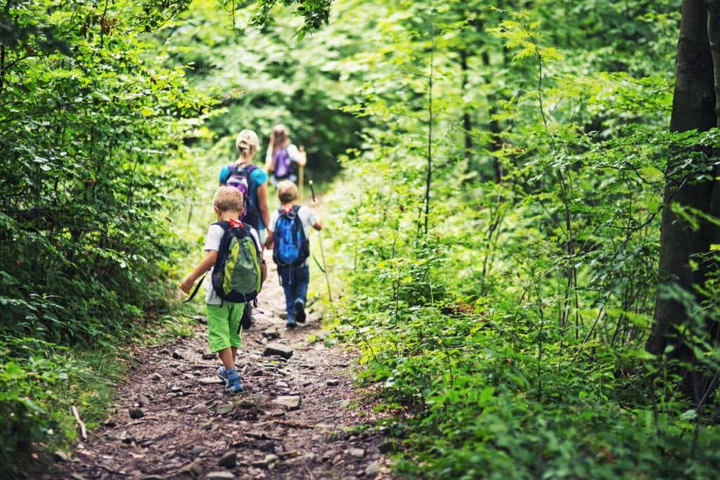 Read more about the article Wilderness Therapy