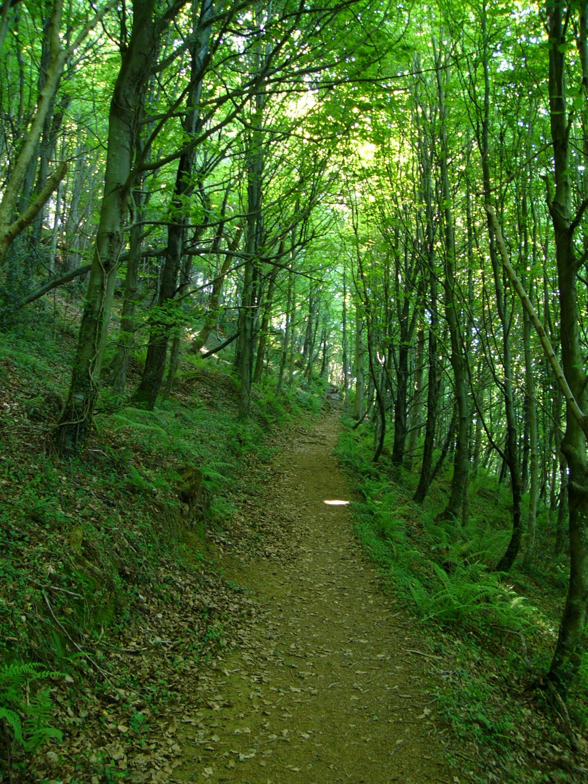 Read more about the article Building Nature inclusive lifestyle