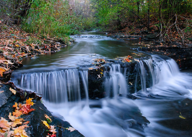 Read more about the article How Nature Supports Your Creativity